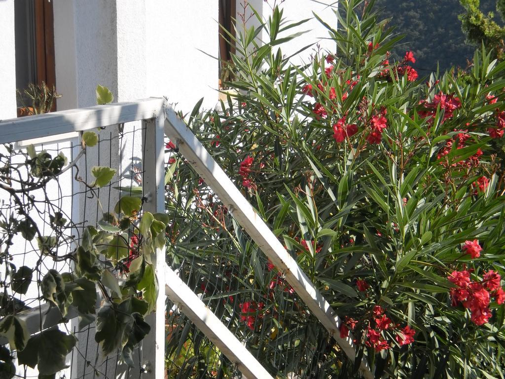 Apartment Haldej Mošćenička Draga Pokój zdjęcie